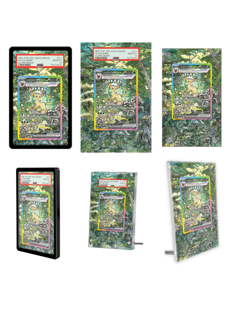 Pokemon Cards Display PTCG Lea – Display Case Acrylic Bewertung und Preis