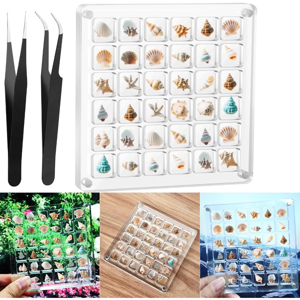 Clear Acrylic Magnetic Seashel – Display Case Acrylic Bewertung und Preis