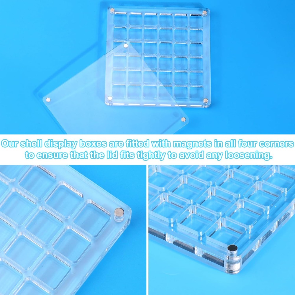 Clear Acrylic Magnetic Seashel – Display Case Acrylic Bewertung und Preis
